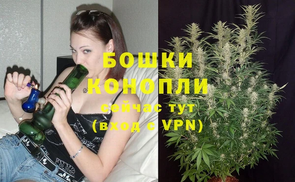 бошки Абаза